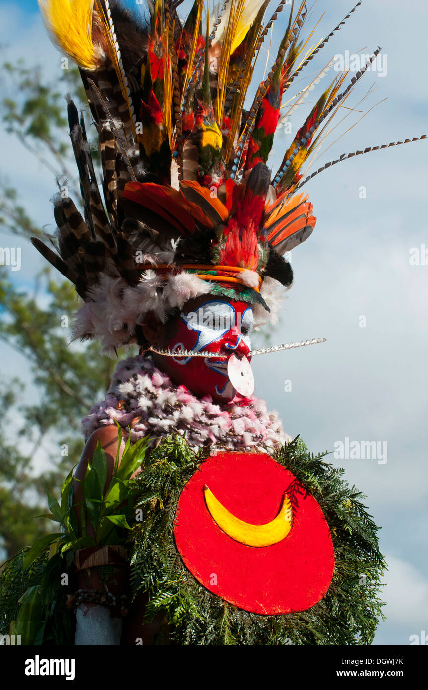 Membre d'une tribu dans un costume à la décoration colorée avec la peinture pour le visage à la traditionnelle collecte sing-sing, Hochland Banque D'Images