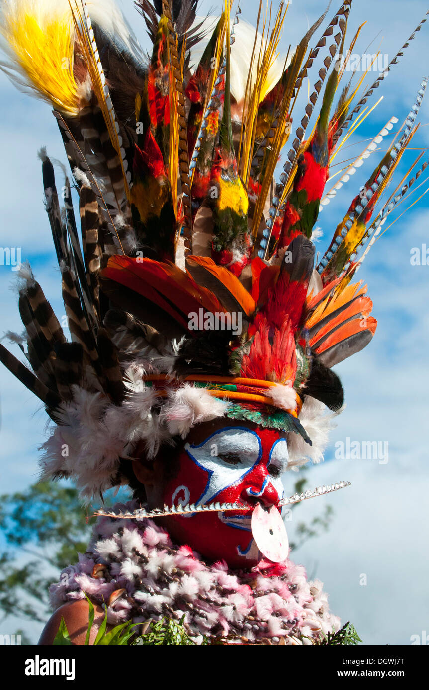 Membre d'une tribu dans un costume à la décoration colorée avec la peinture pour le visage à la traditionnelle collecte sing-sing, Hochland Banque D'Images