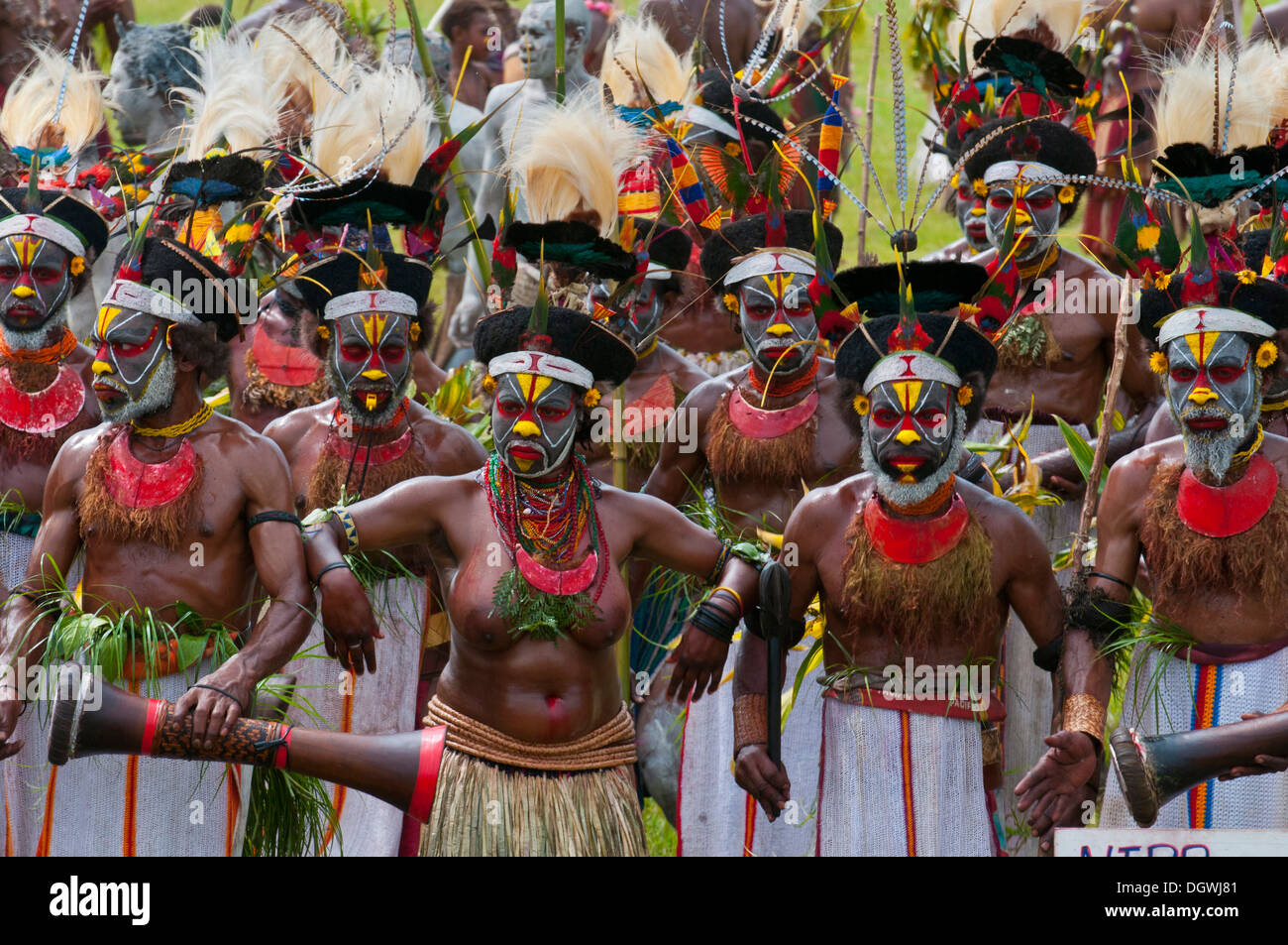 Des membres d'une tribu en costumes colorés avec de la peinture face à la traditionnelle collecte sing-sing, Hochland Banque D'Images