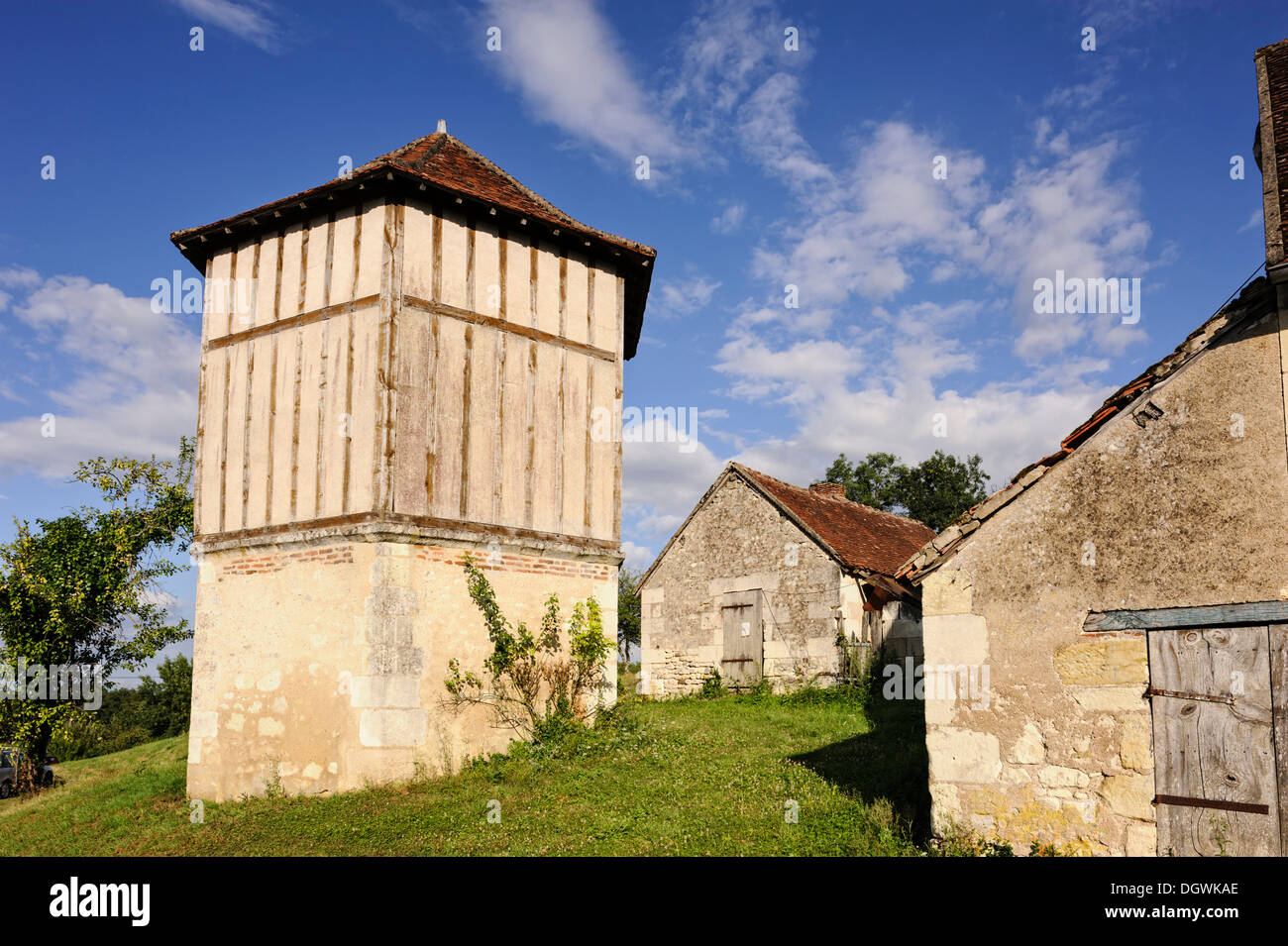 XV siècle pigeonnier, Saint Aignan sur Cher, Loir et Cher, Centre, France Banque D'Images