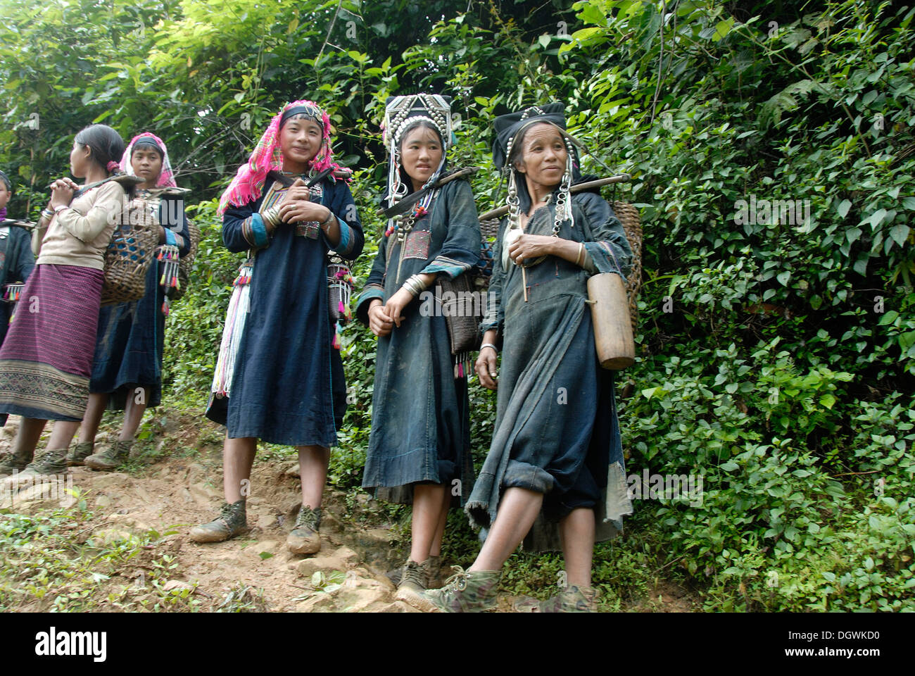 La pauvreté, les jeunes femmes du groupe ethnique akha Nuqui avec portant des paniers dans la jungle, vêtements traditionnels, l'indigo, couleur Banque D'Images