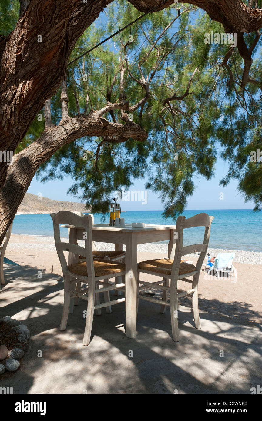 Table dans l'ombre, des chaises en bois sous un Tamarinier ou sel Cedar (Tamarix), la plage de Kato Zakros, Crète, Grèce, Méditerranée Banque D'Images