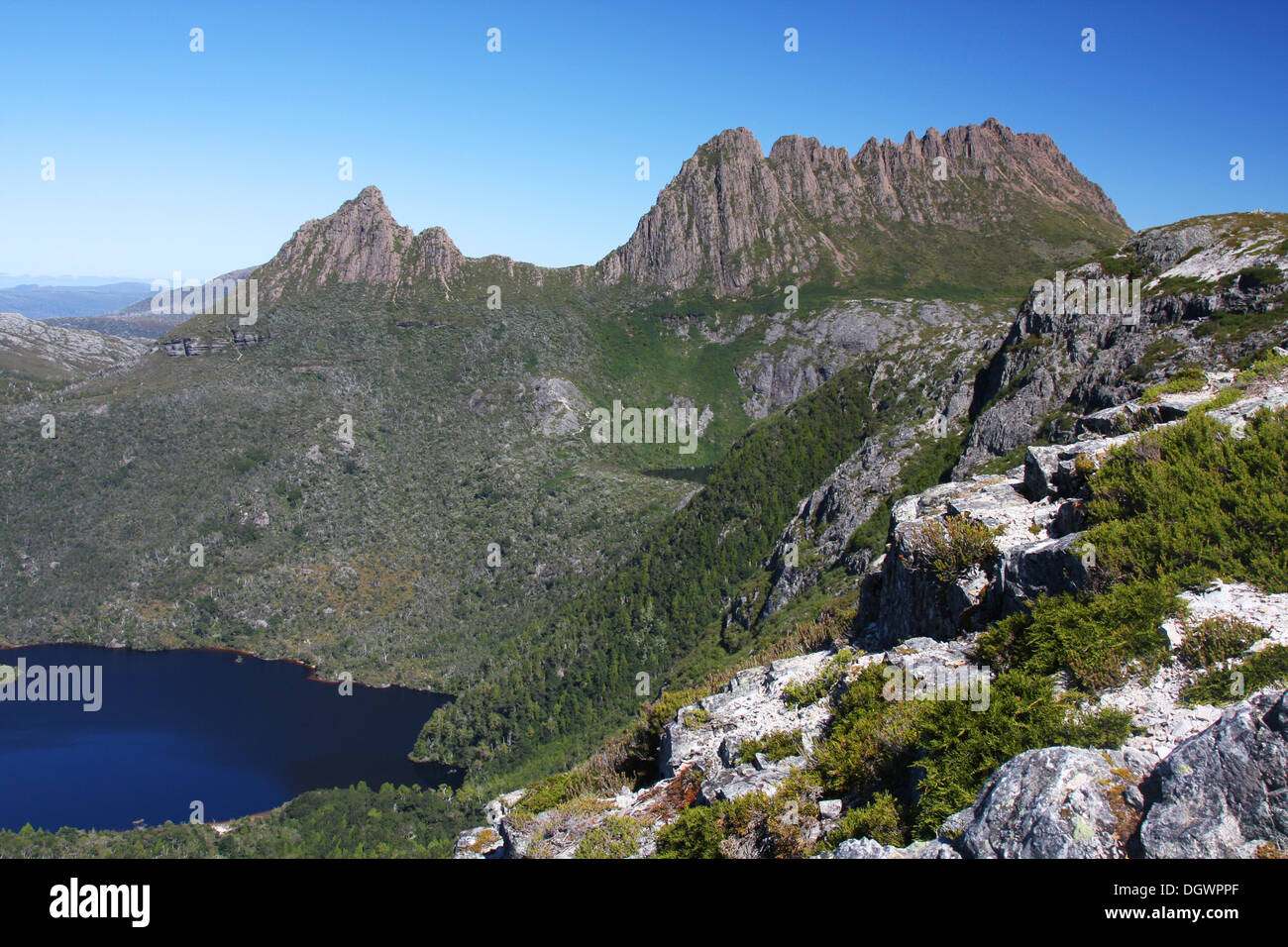 Cradle Mountain et Dove Lake en Tasmanie, Australie Banque D'Images