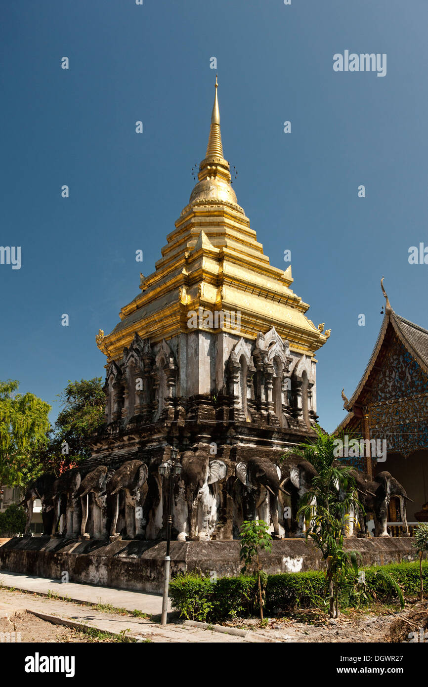 Chedi avec statues d'éléphants, Wat Chiang Man et Chiang Mai, dans le Nord de la Thaïlande, la Thaïlande, l'Asie Banque D'Images