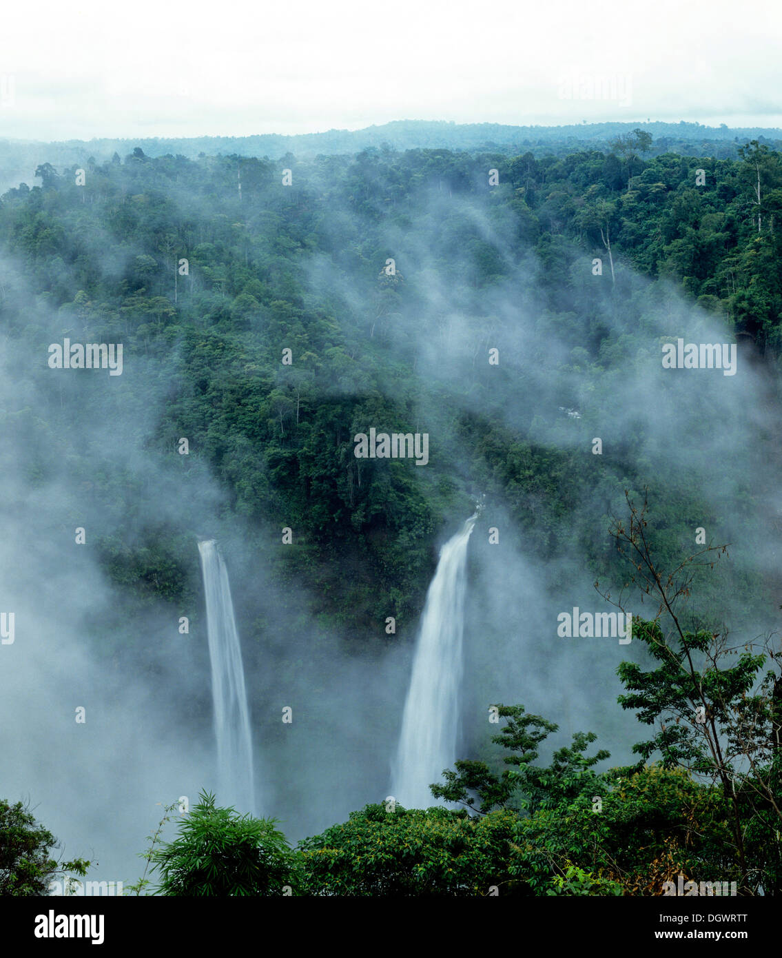 Cascade de Tad Fane, Plateau des Bolavens, Pakse, Laos Banque D'Images