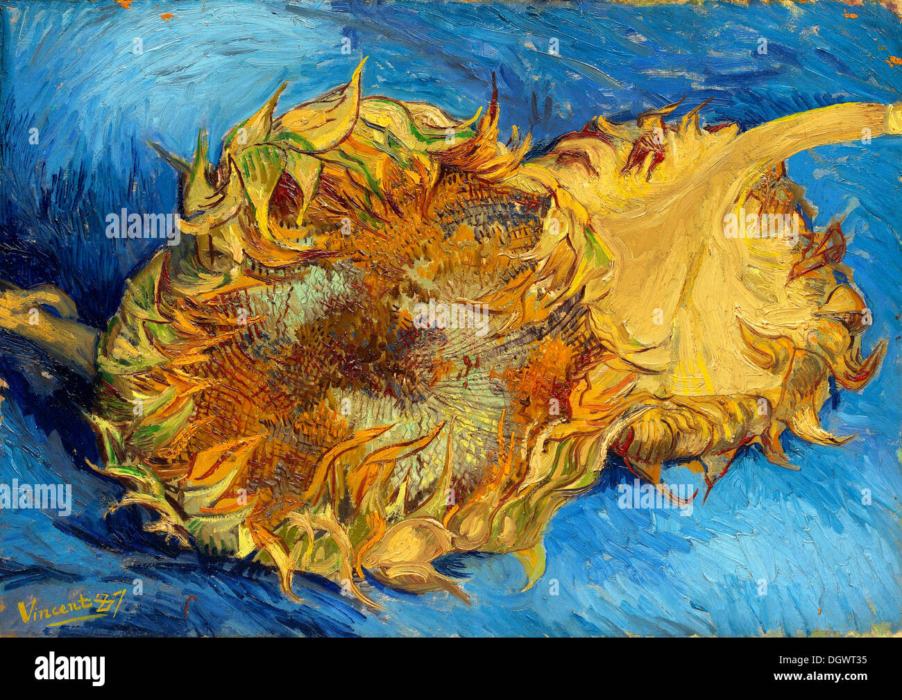 Les tournesols de Vincent van Gogh, 1887 Banque D'Images