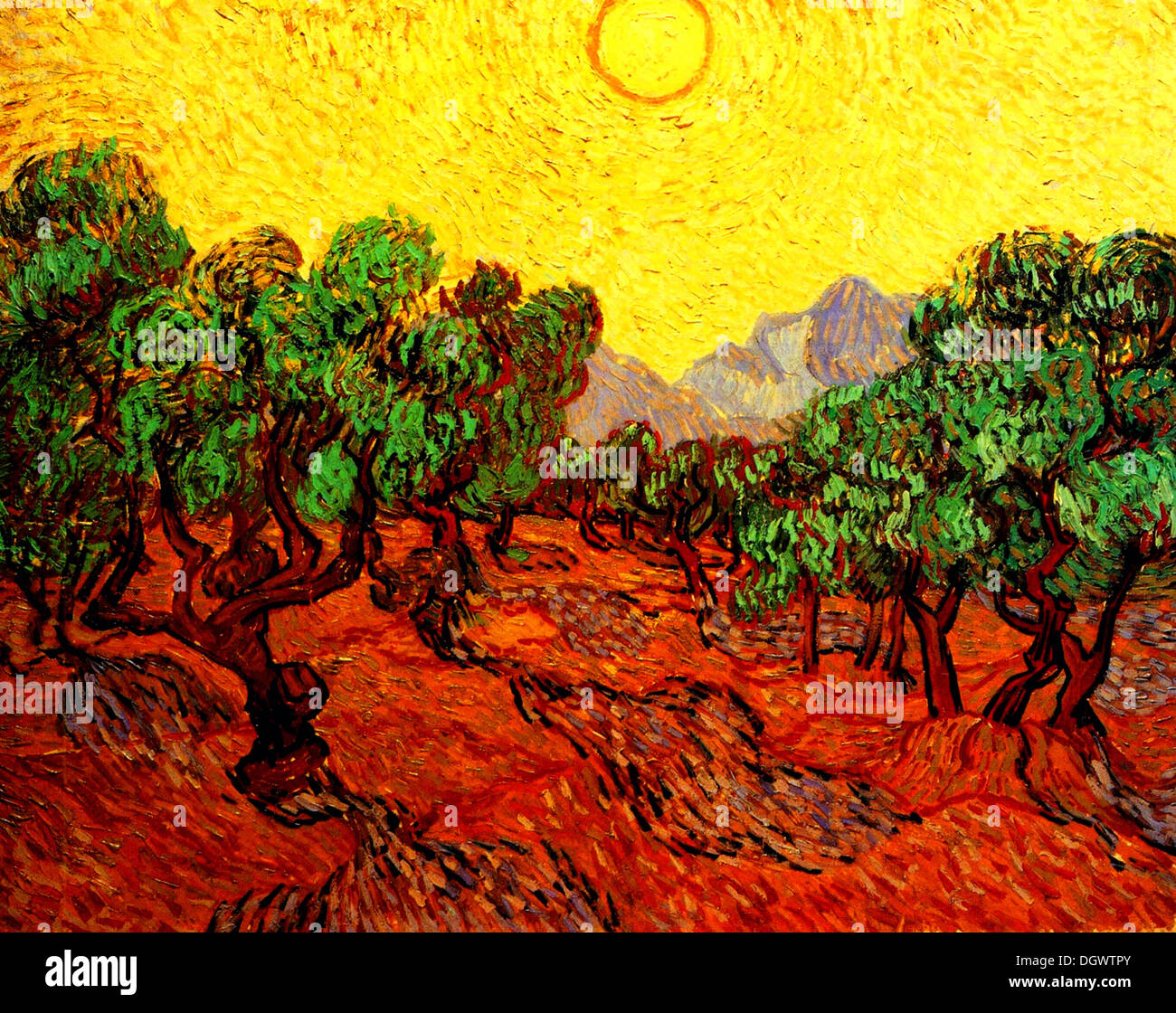 Oliviers avec ciel jaune et Soleil par Vincent van Gogh 1889 Banque D'Images