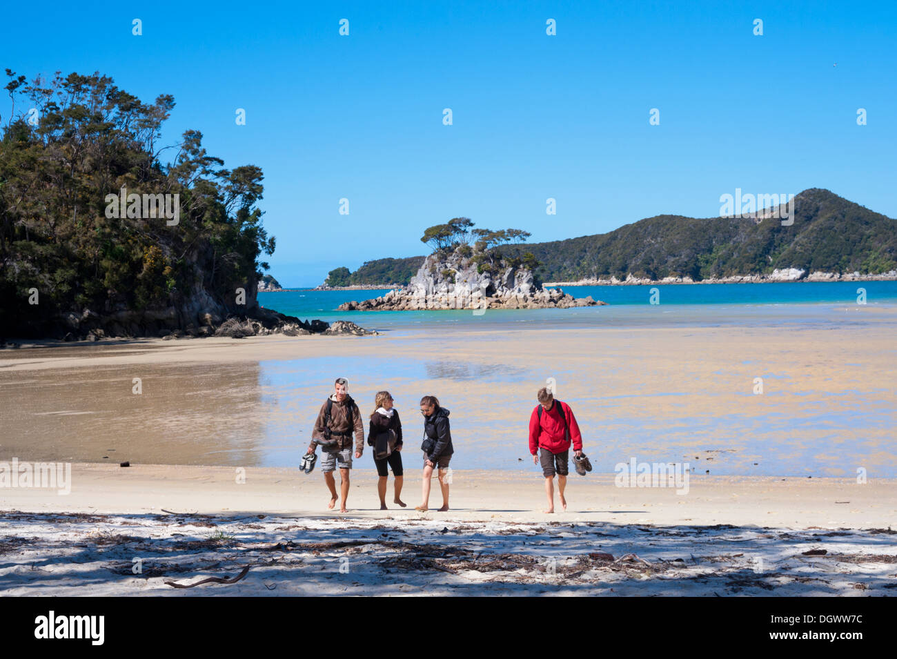 La plage à Torrent Bay, parc national Abel Tasman, Nouvelle-Zélande, Banque D'Images