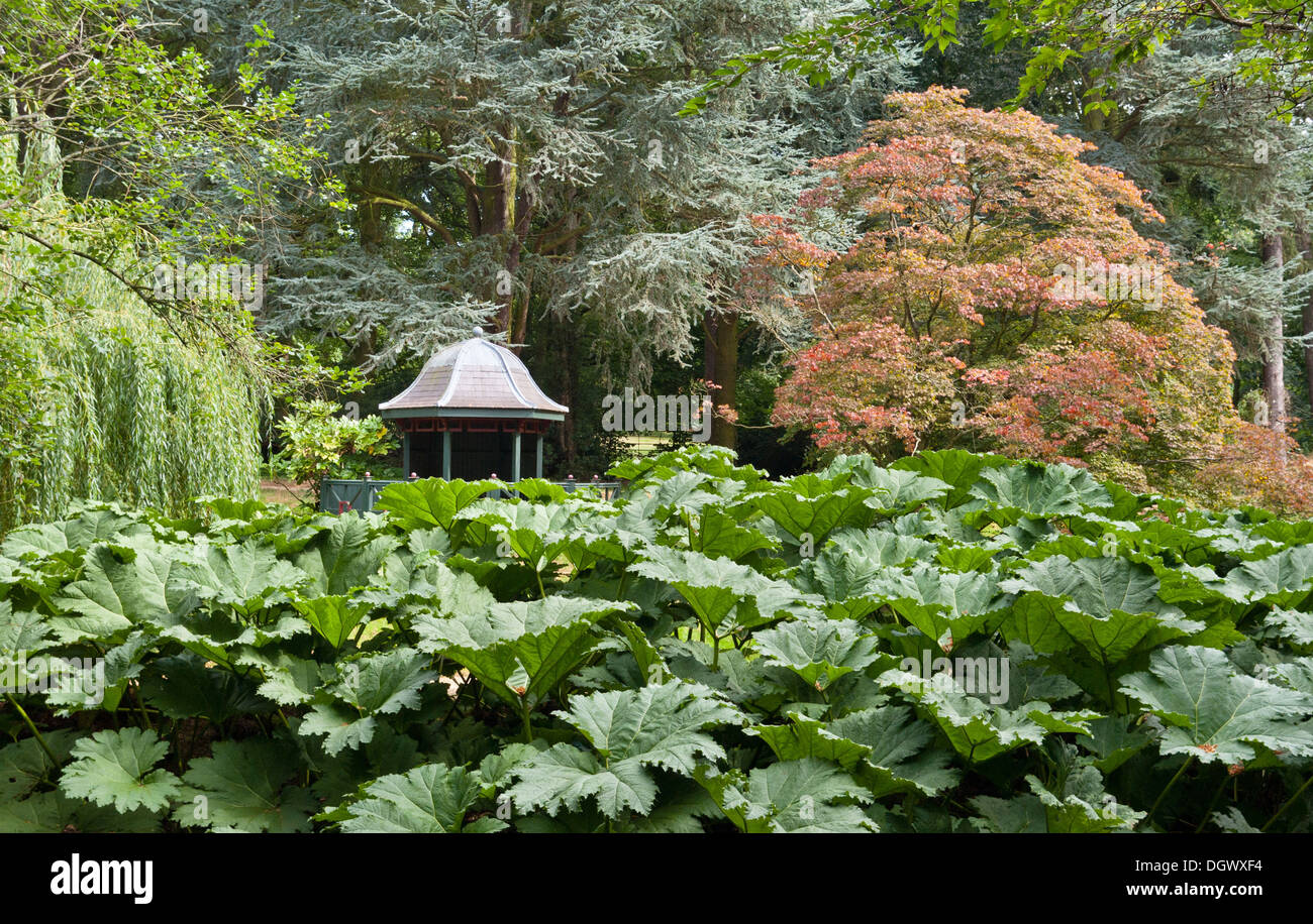 Le jardin sauvage, Cottesbrooke Hall, Royaume-Uni Banque D'Images