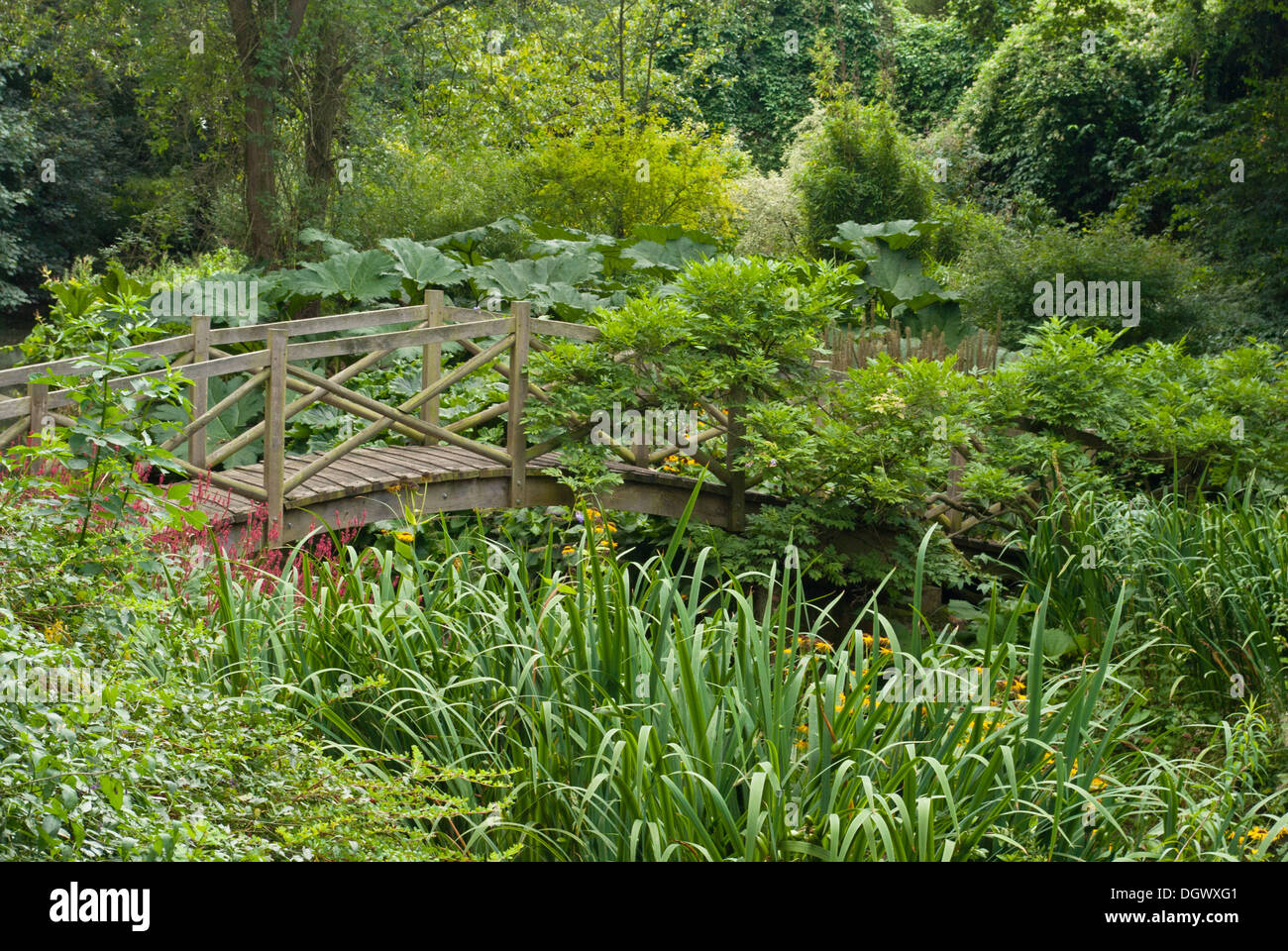 Pont en bois rustique entouré de verdure, le jardin sauvage, Cottesbrooke Hall, Royaume-Uni Banque D'Images