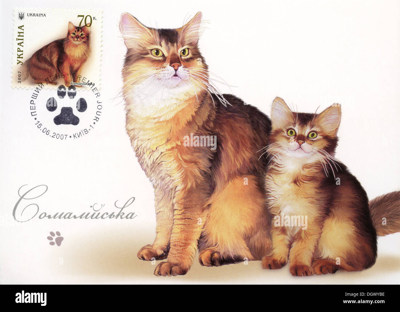 Timbre-poste représentant l'Ukraine chats domestiques - race de chat Somali Banque D'Images