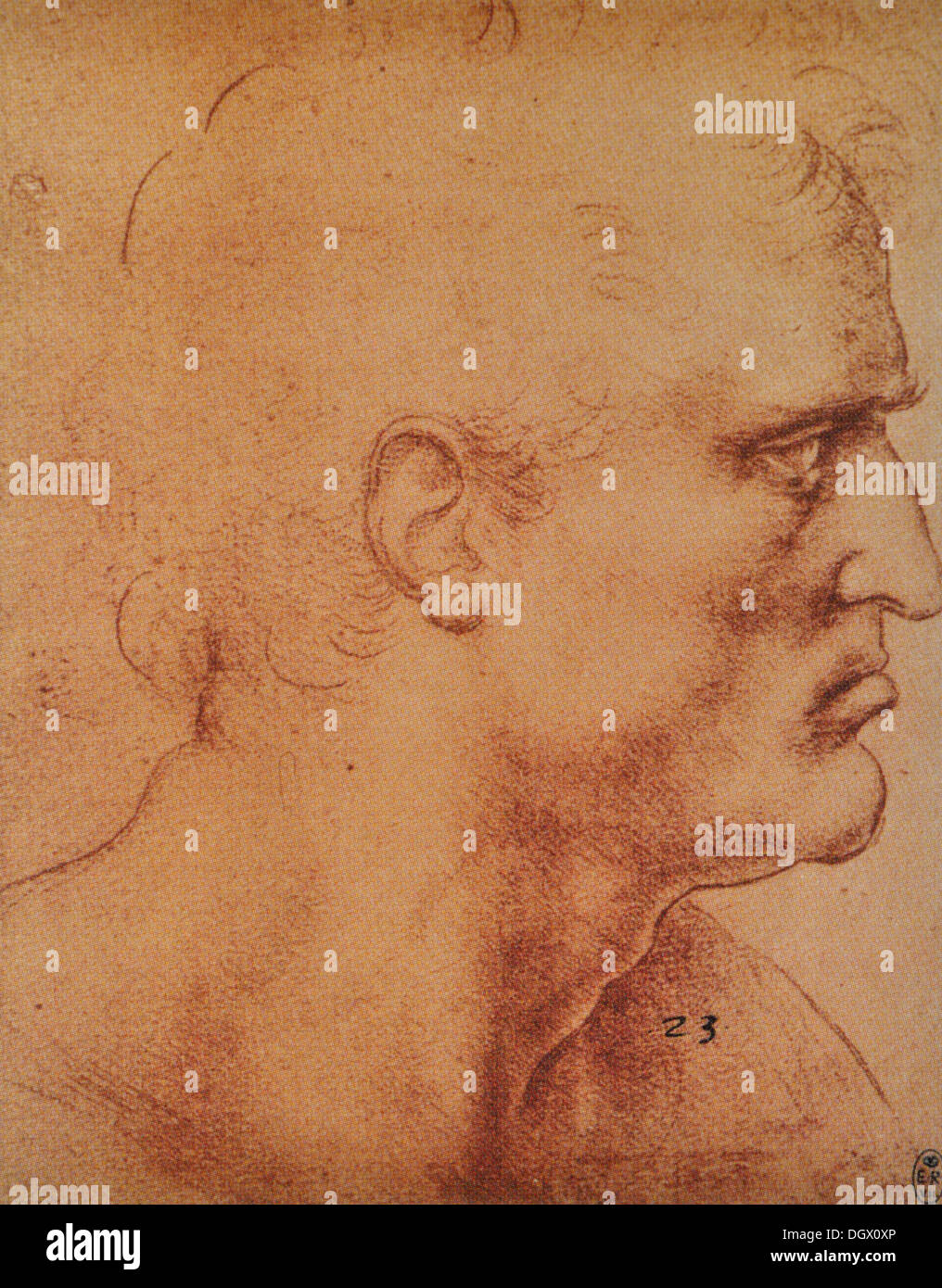 Dernière Cène, chef de l'Apôtre Barthélemy étude - par Leonardo da Vinci, 1495 Banque D'Images