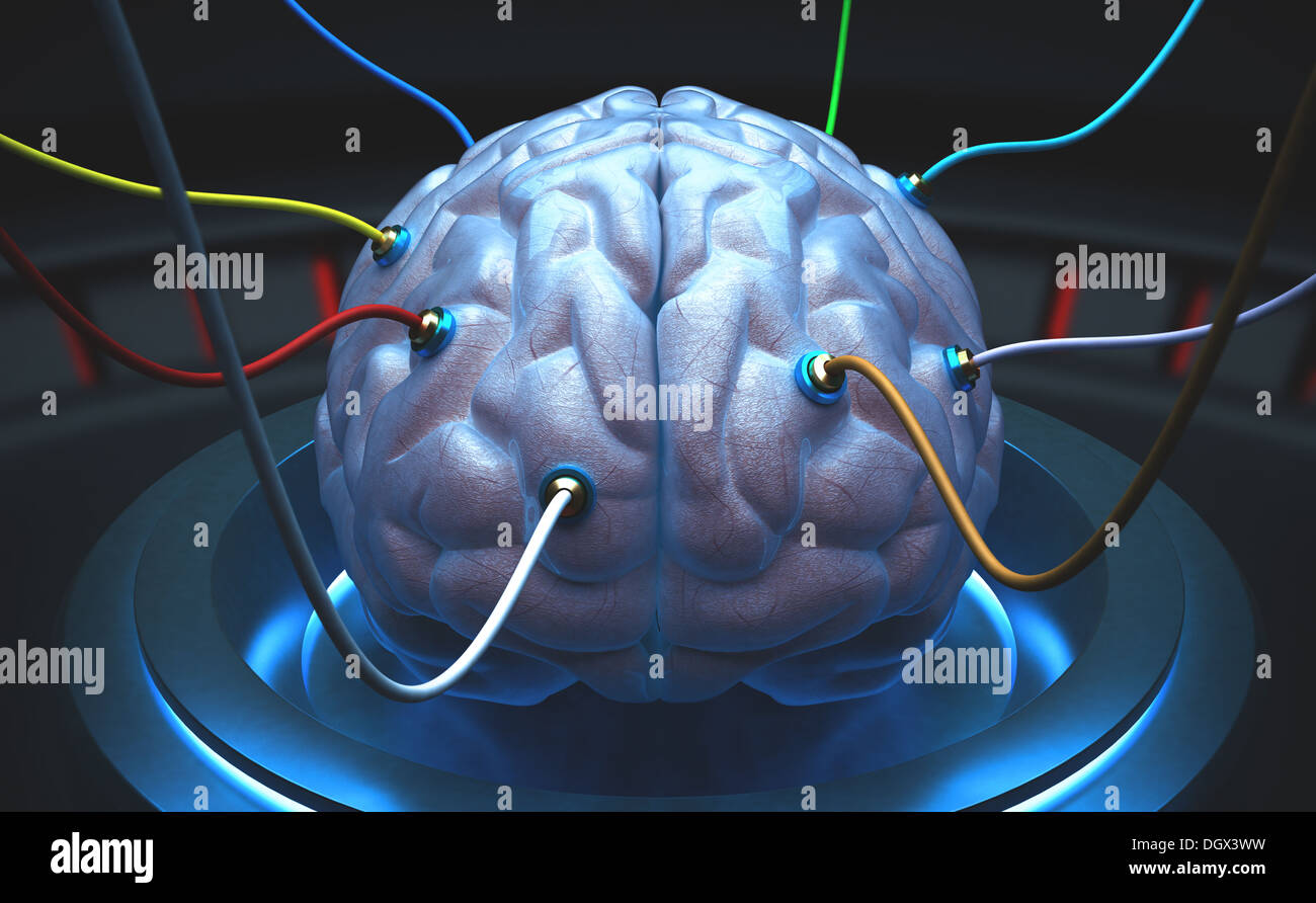 Cerveau avec les câbles connectés à un test de la puissance de l'esprit. Banque D'Images