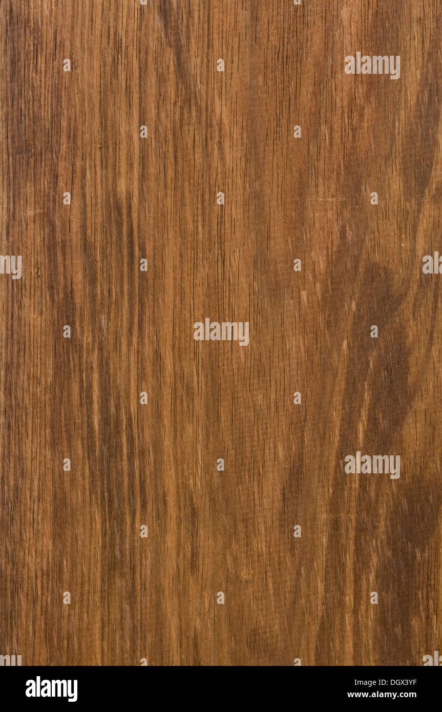 Australian Blackwood Wood Texture Banque D'Images