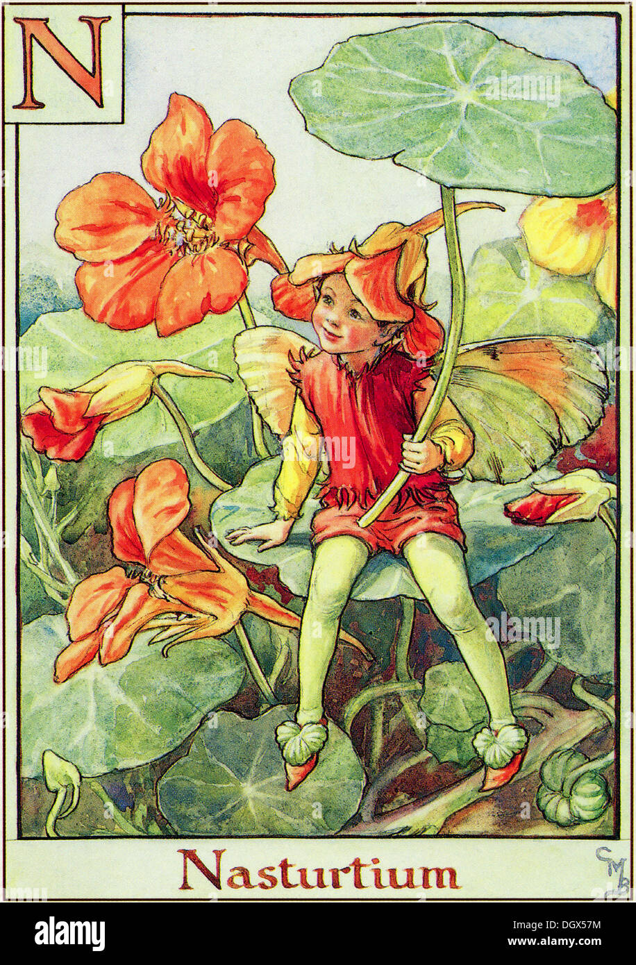 Fées fleurs Illustration par Cicely Mary Barker - La Fée Capucine, 1934 Banque D'Images