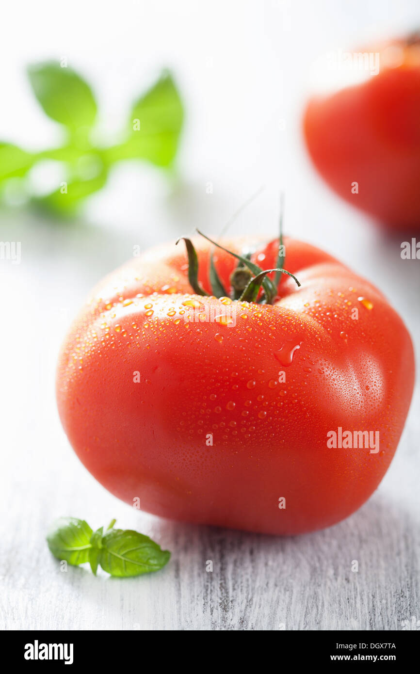 Grand frais tomates et feuilles de basilic Banque D'Images