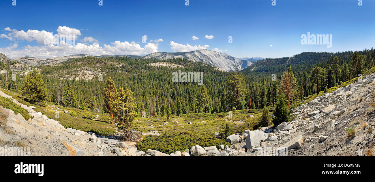 Plateau à Tioga Pass, Tioga Pass, Yosemite National Park, California, United States Banque D'Images