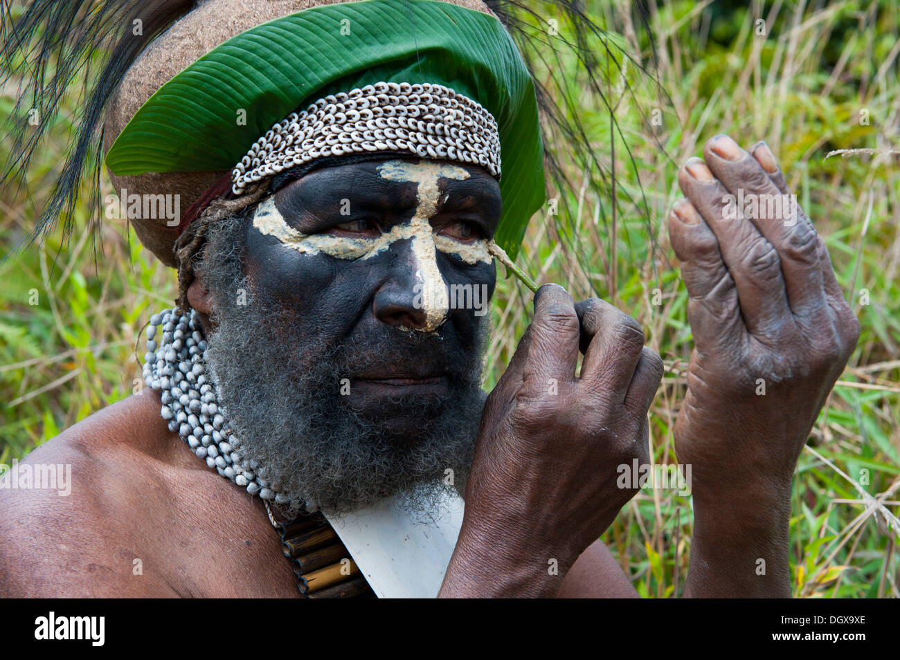 Chef de Tribu habillé traditionnellement l'application de la peinture pour le visage, Hochland, Paya, Highland, Papouasie Nouvelle Guinée Banque D'Images