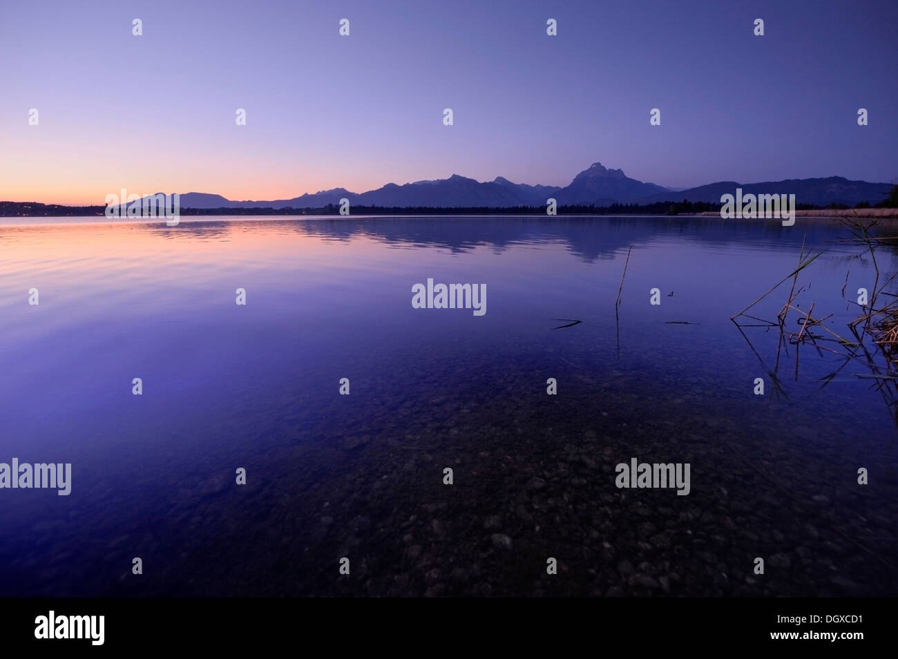 Heure bleue avec lac de montagne et des sommets alpins, le lac Hopfensee, Bavière Banque D'Images