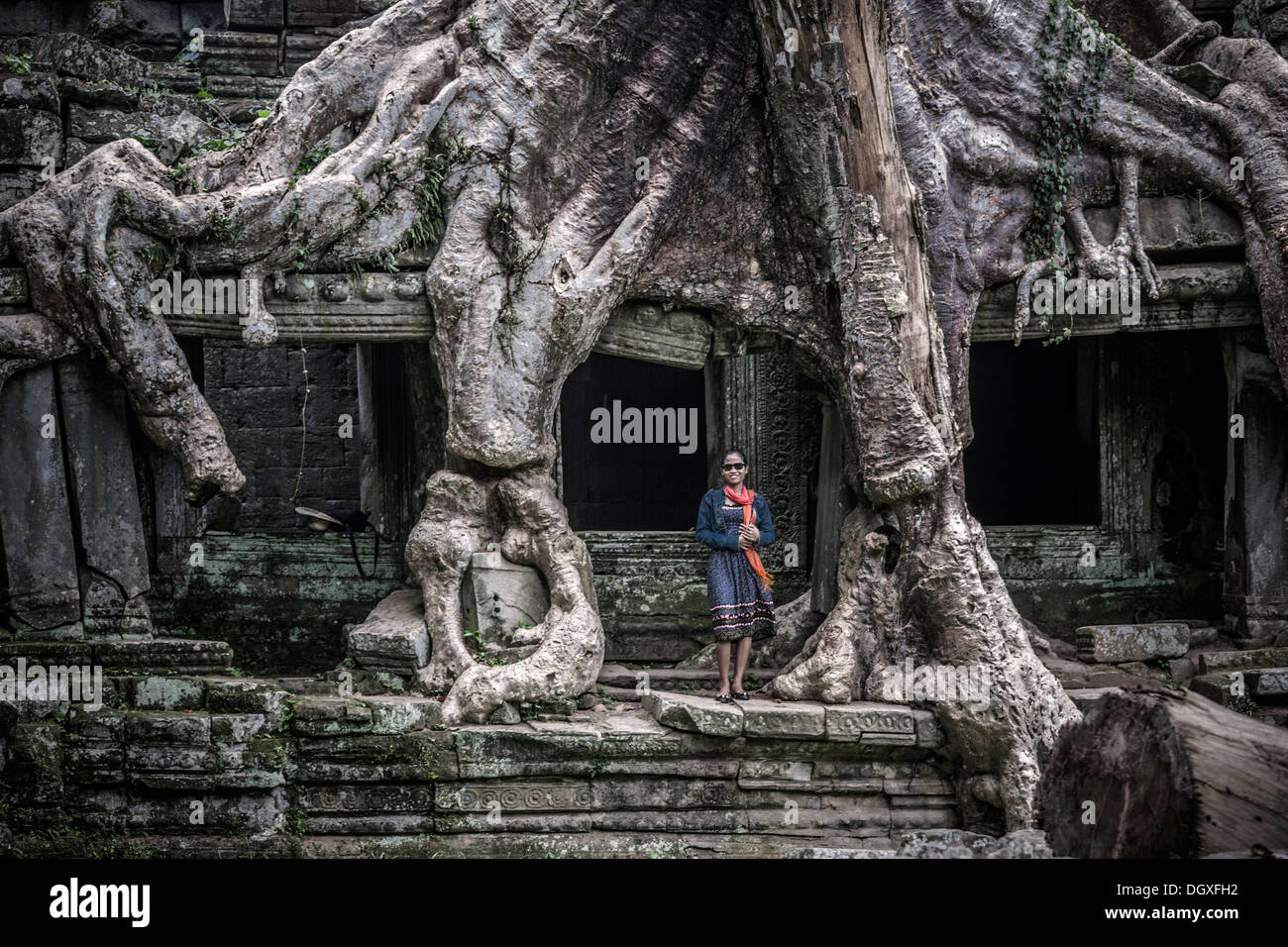 Banyan Tree Angkor Wat. Des racines exposées engloutissant les ruines du temple et éclipsant un touriste. Ta Prohm Angkor Wat Siem Reap Cambodge Angkor Wat, S. E. Asie Banque D'Images