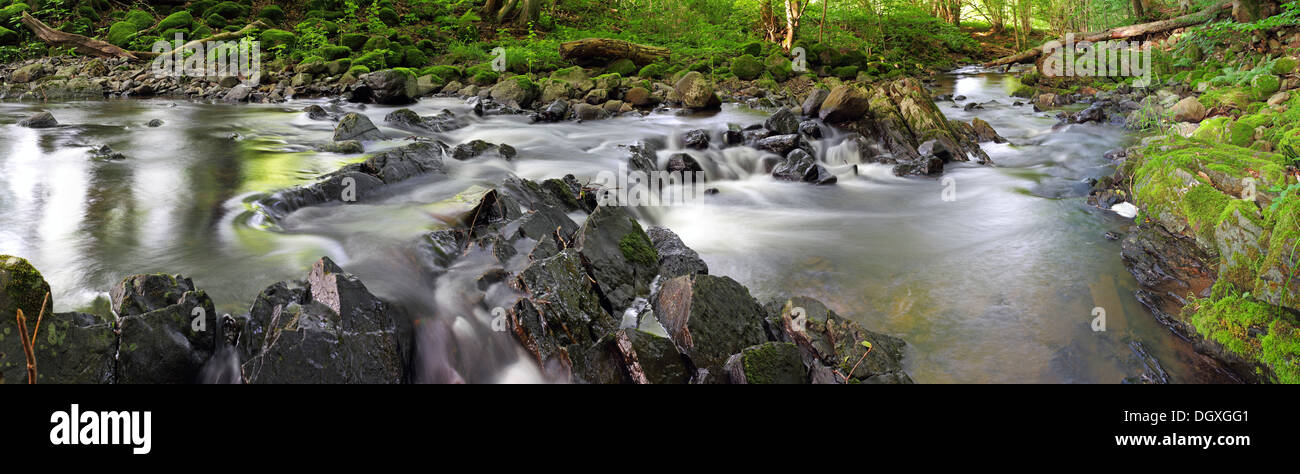 Vue panoramique, d'un ruisseau dans la chaîne de montagnes basses, près de Ulmbach Greifenstein, région du Westerwald, Hesse Banque D'Images