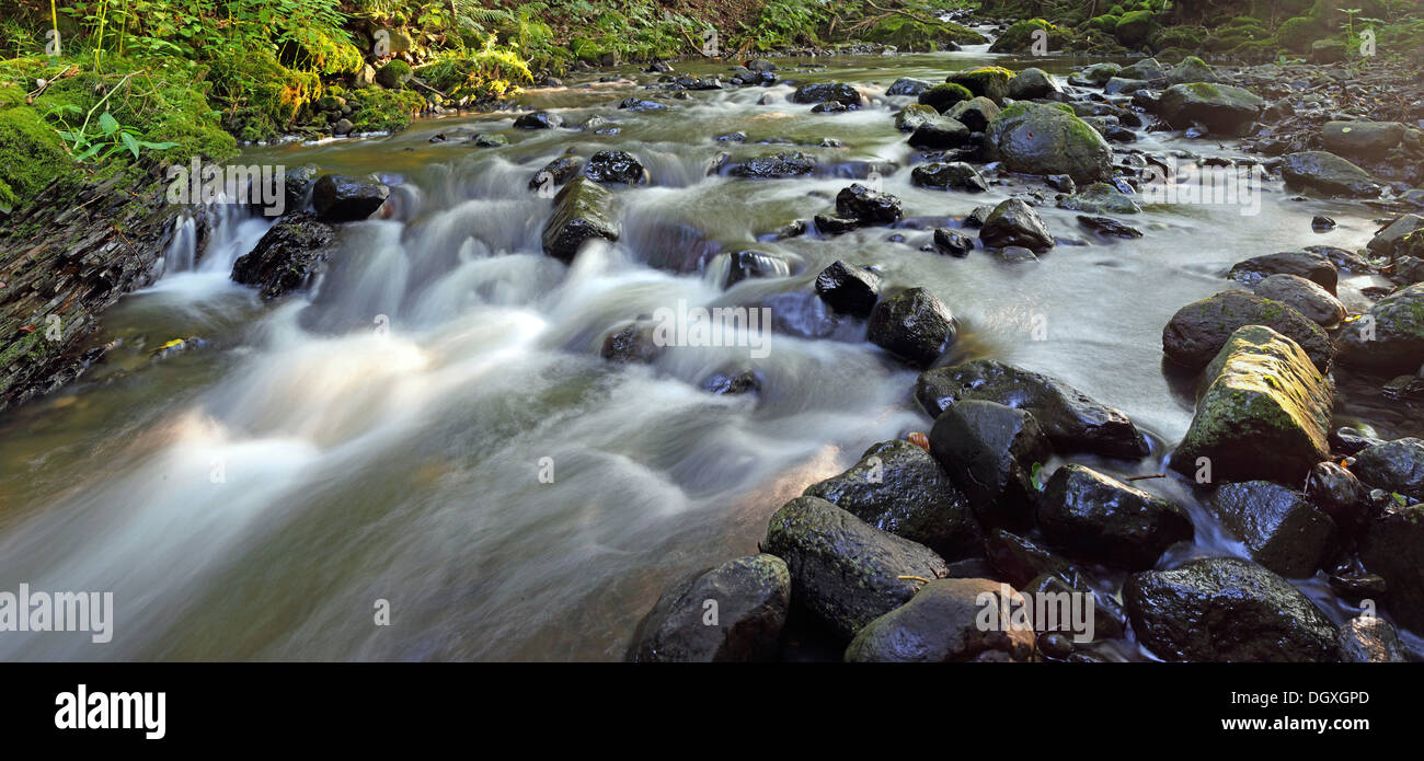 Panorama, mountain creek dans le Mittelgebirge montagnes, Greifenstein, Rhône-Alpes district, Westerwald, Hesse Banque D'Images