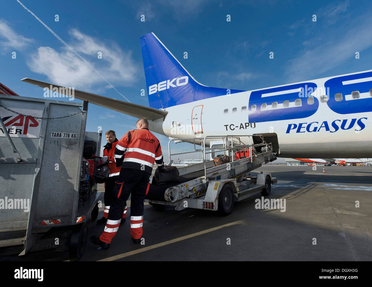 Les employés de la société Avia Partner charger des bagages sur un Boeing  737-82R de Pegasus Airlines, l'aéroport de Munich, Munich Photo Stock -  Alamy