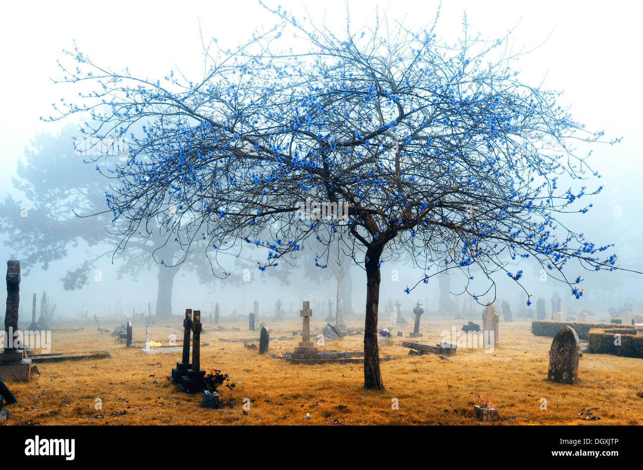 Un cimetière brumeux en infrarouge Banque D'Images
