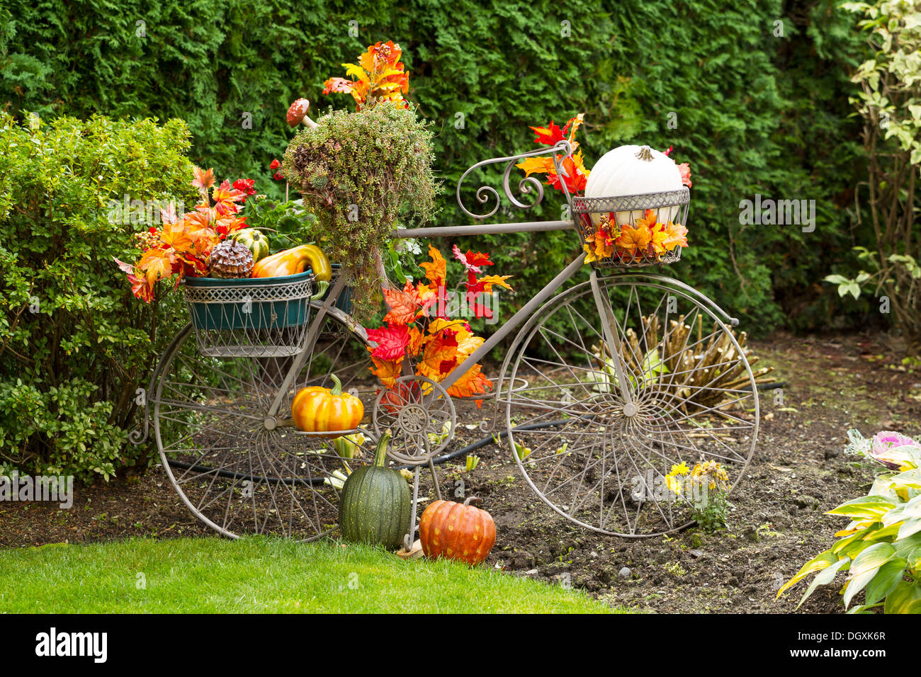 Photo horizontale de vieux vélo stationnaire rempli de feuilles, les citrouilles et autres divers objets d'automne Banque D'Images