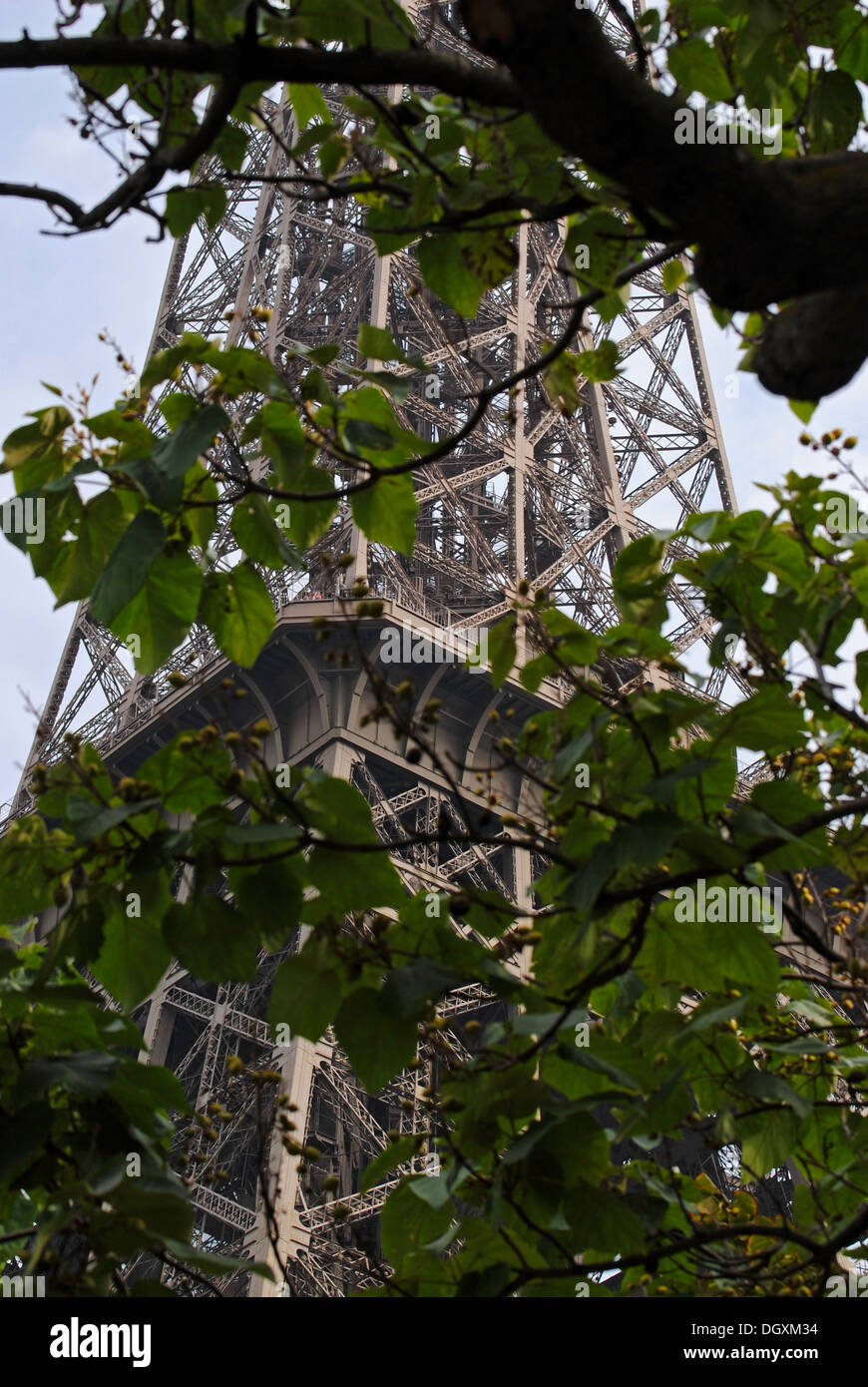 Vue de la Tour Eiffel design ajouré à travers le feuillage des arbres. Banque D'Images
