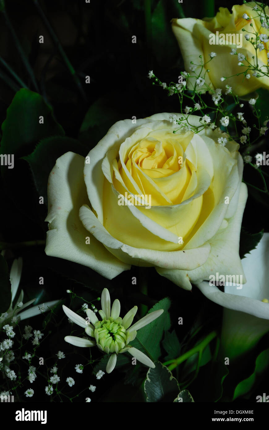 Une belle rose jaune dans un bouquet de mariage UK Banque D'Images