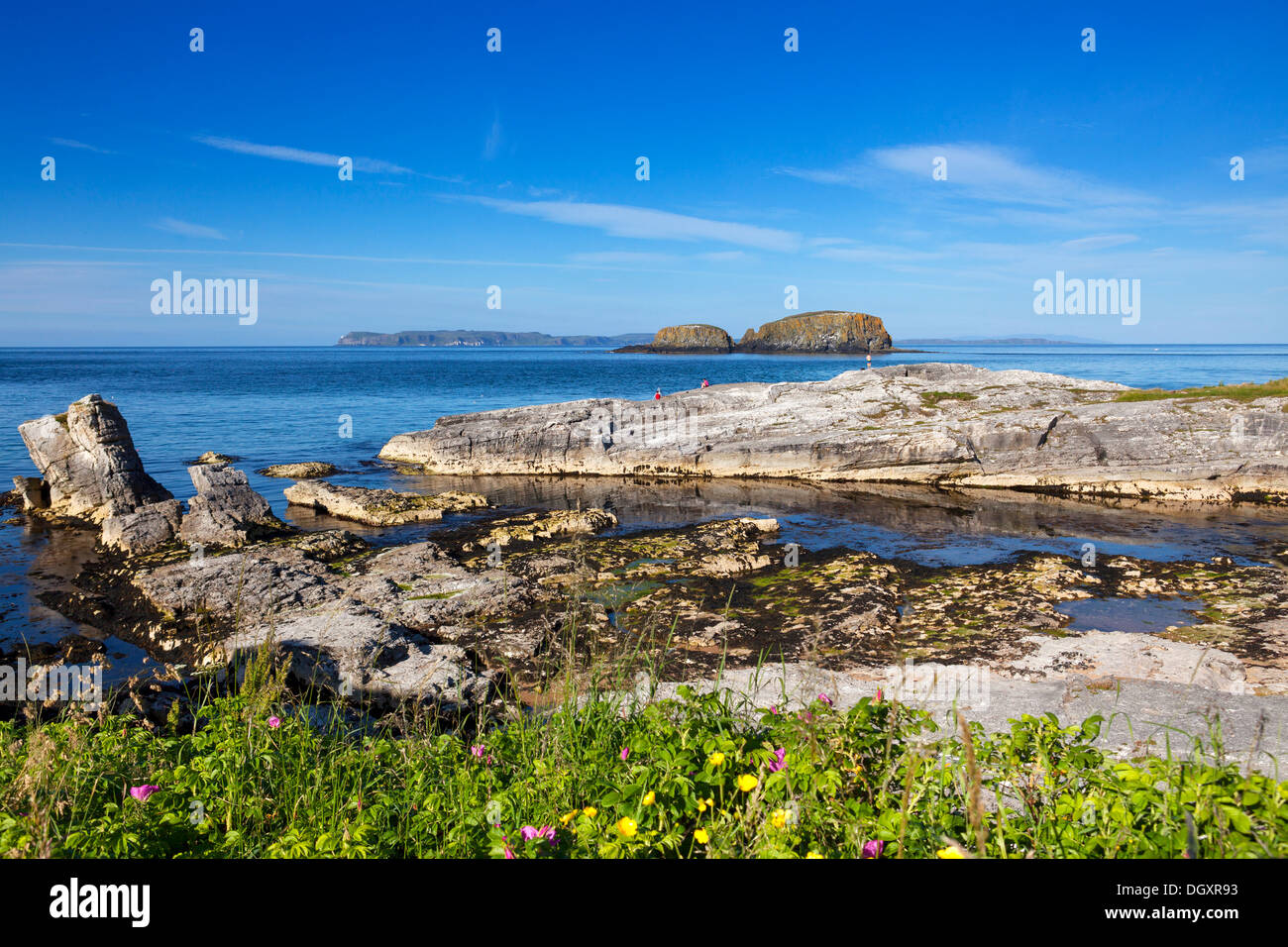Ballintoy, co Antrim, en Irlande du Nord Banque D'Images