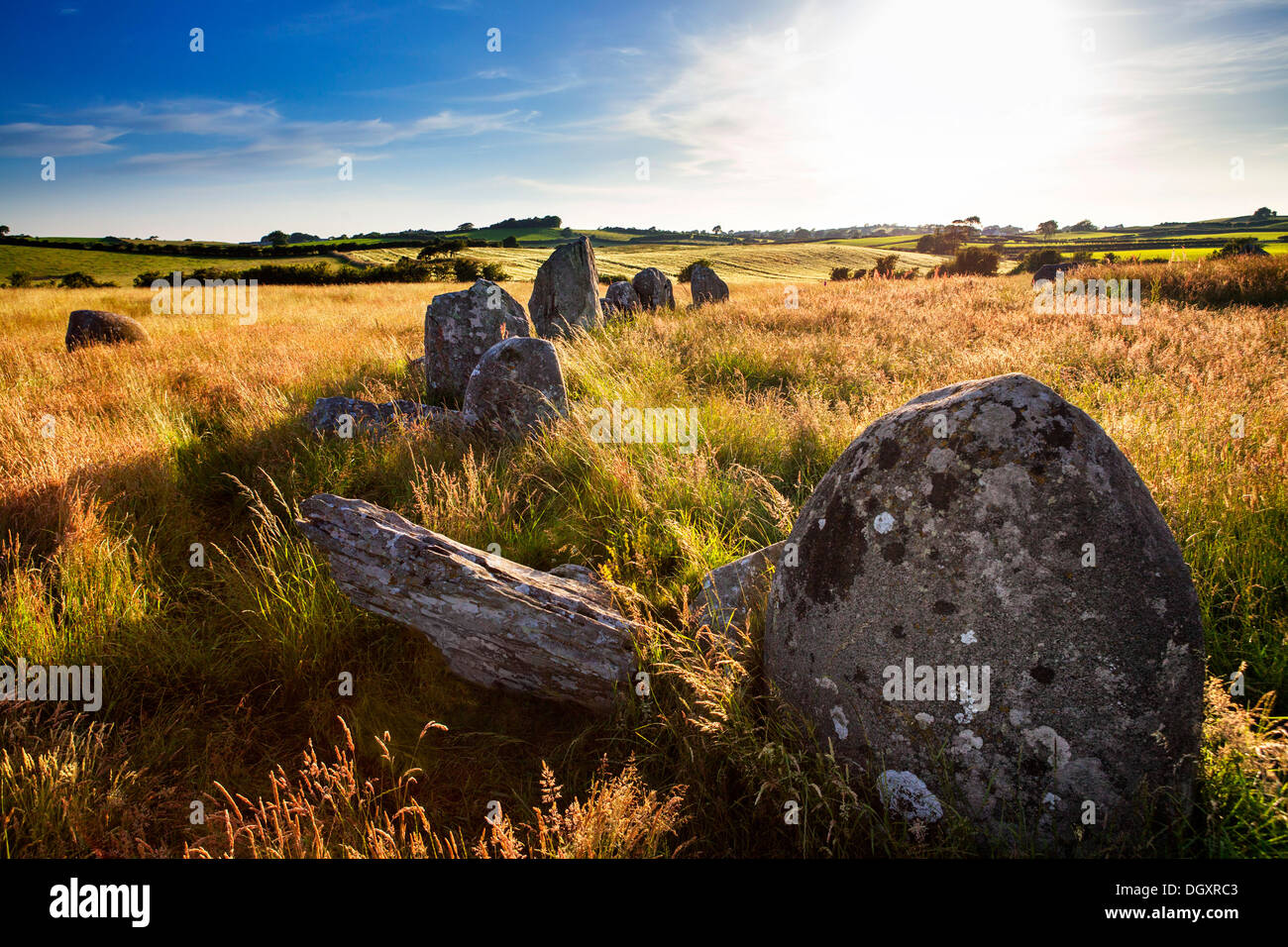 Ballynoe Stone Circle, Downpatrick (Irlande du Nord) Banque D'Images