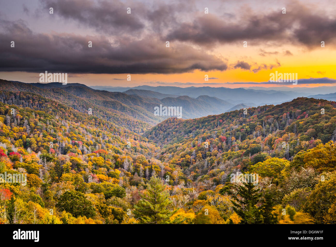 Coucher du soleil d'automne dans les Smoky Mountains National Park. Banque D'Images