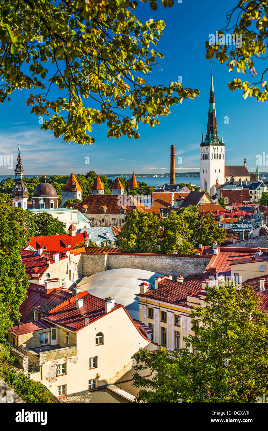 Skyline de Tallinn, Estonie à la vieille ville. Banque D'Images