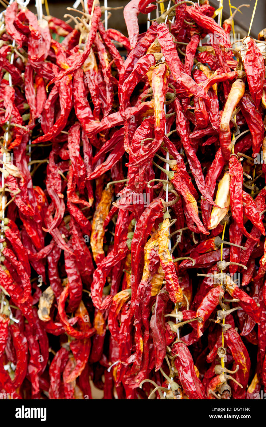 Piments séchés dans le marché aux légumes, Rovingo à Rovinj, Istrie, Croatie, Europe, Rovinj, Croatie Banque D'Images