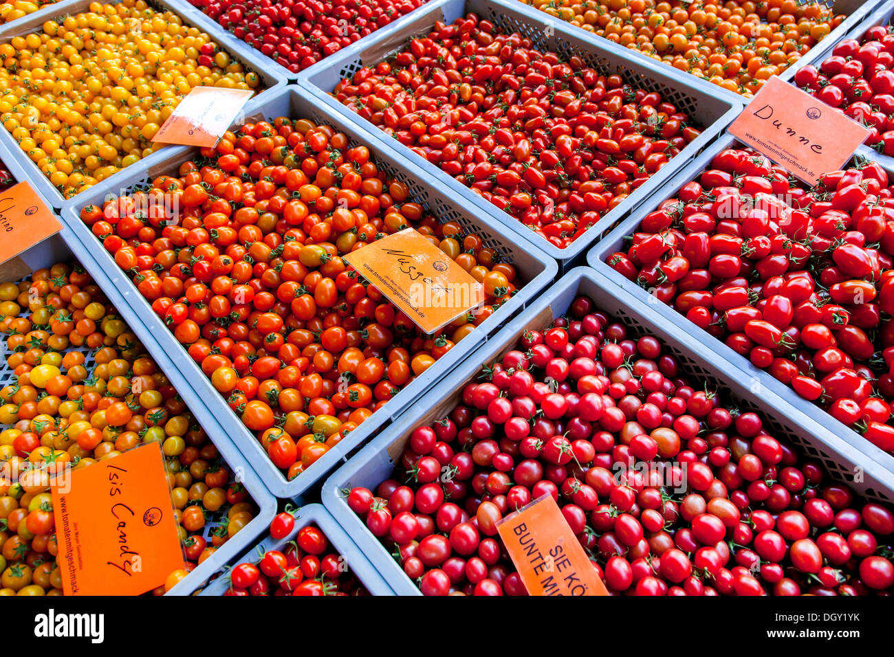 Différents types de tomates sur une échoppe de marché, Hambourg, Hambourg, Allemagne Banque D'Images