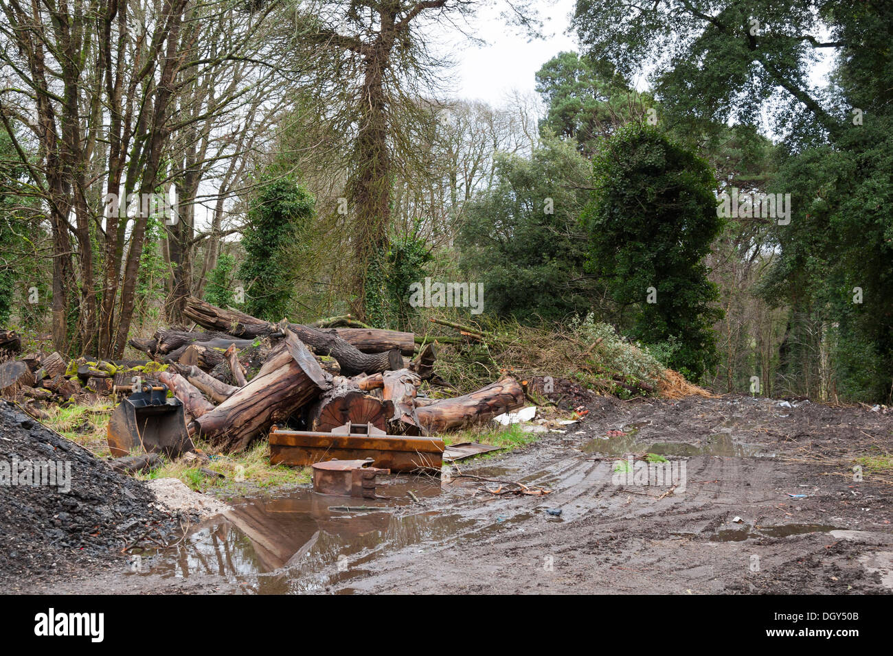 Pile de bois et de la machine par voie de transport des bois seaux Banque D'Images