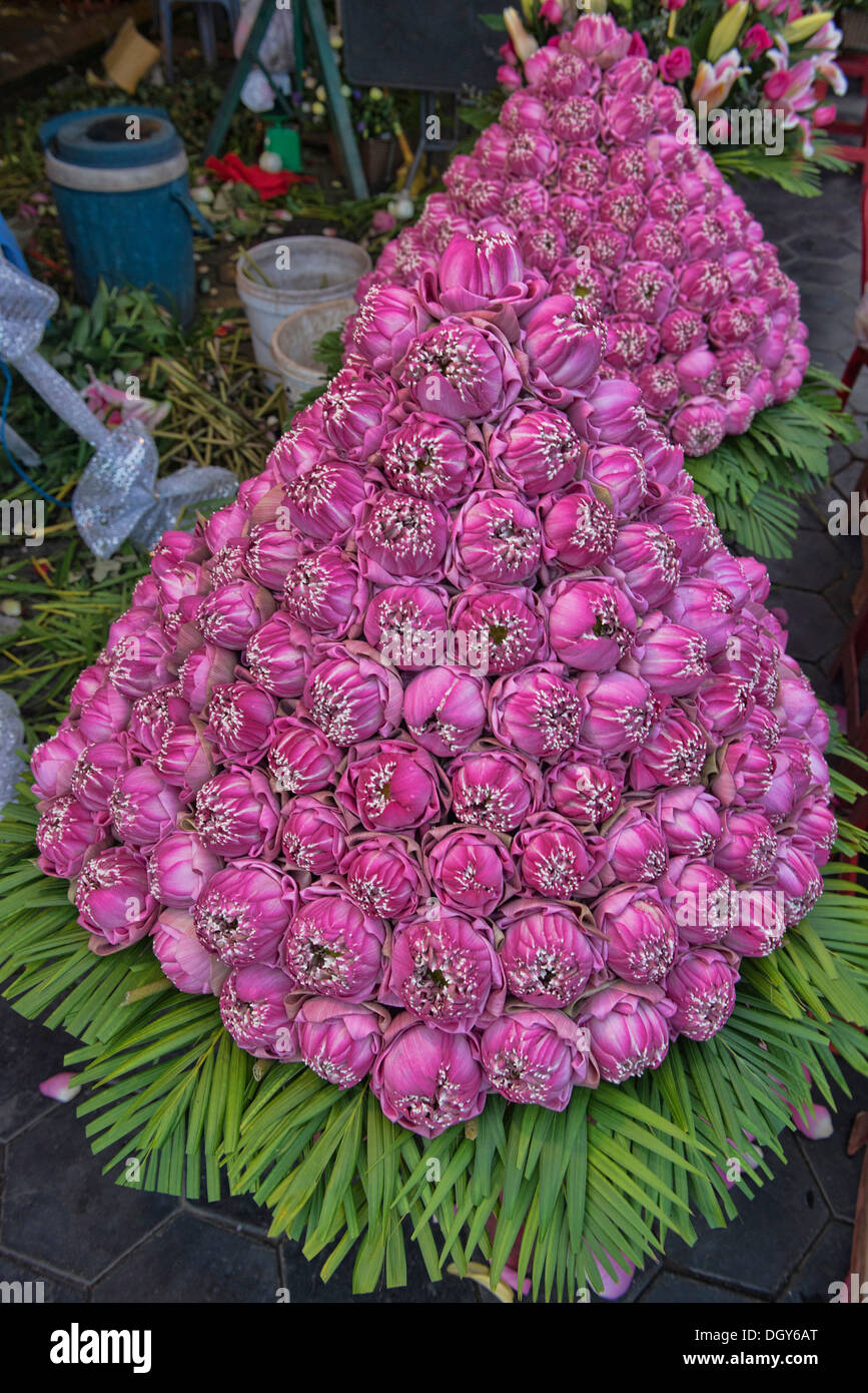 Des fleurs de lotus en vente au marché de Psar Thmei, Phnom Penh, Cambodge Banque D'Images