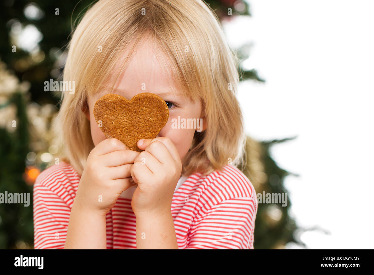 Un cute boy peeking de derrière un amour d'épices en forme de cookie en face d'un arbre de Noël. Isolé sur blanc. Banque D'Images