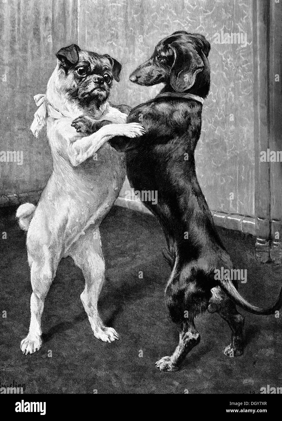 La réunion après la fin de l'interdiction des chiens, une illustration de l'Moderne Kunst dans Meisterholzschnitten annuaire, 1900 Banque D'Images