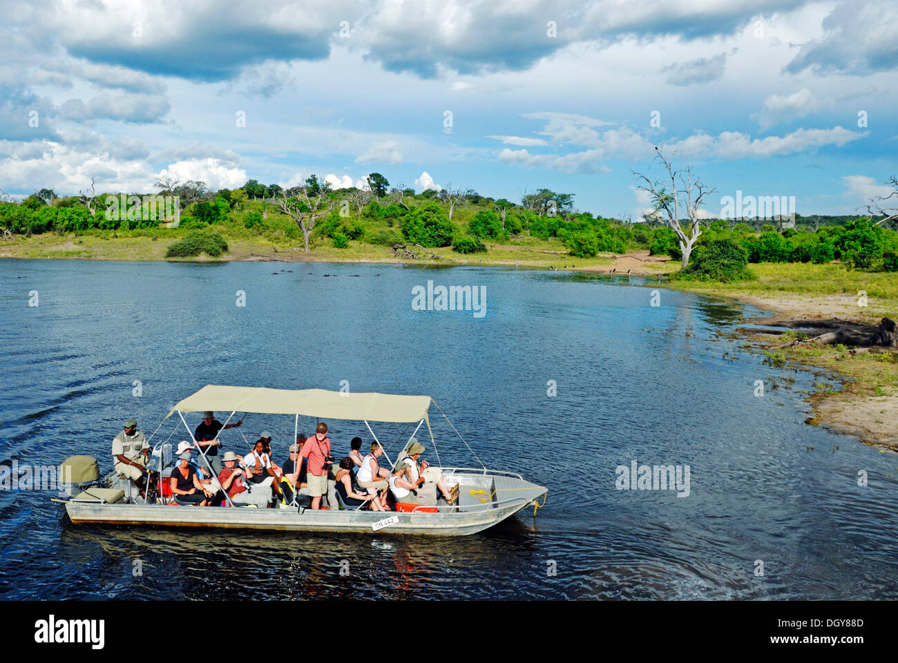 Safari sur la rivière Chobe, excursion en bateau avec des touristes dans le Parc National de Chobe près de Kasane, Botswana, Africa Banque D'Images