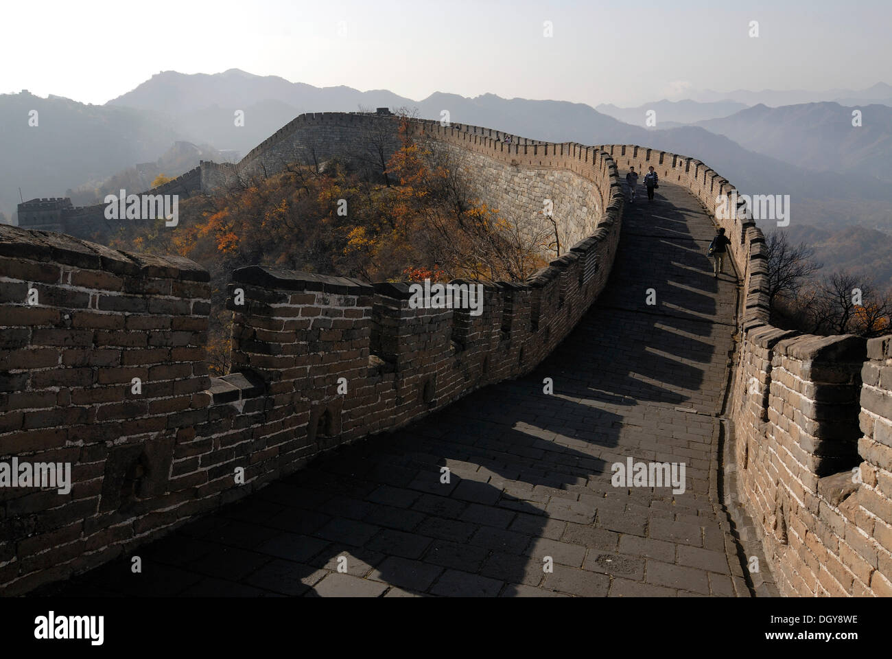 Grande Muraille de Chine près de Mutianyu en automne, près de Beijing, China, Asia Banque D'Images