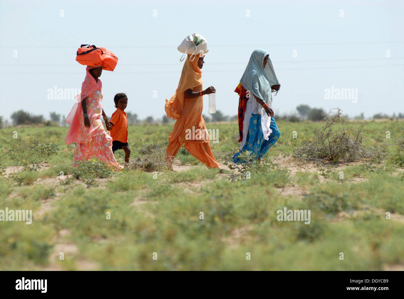 Ram devra pèlerins, désert du Thar, à Pokaran Pokahran ou, du Rajasthan, Inde du Nord, Inde, Asie Banque D'Images