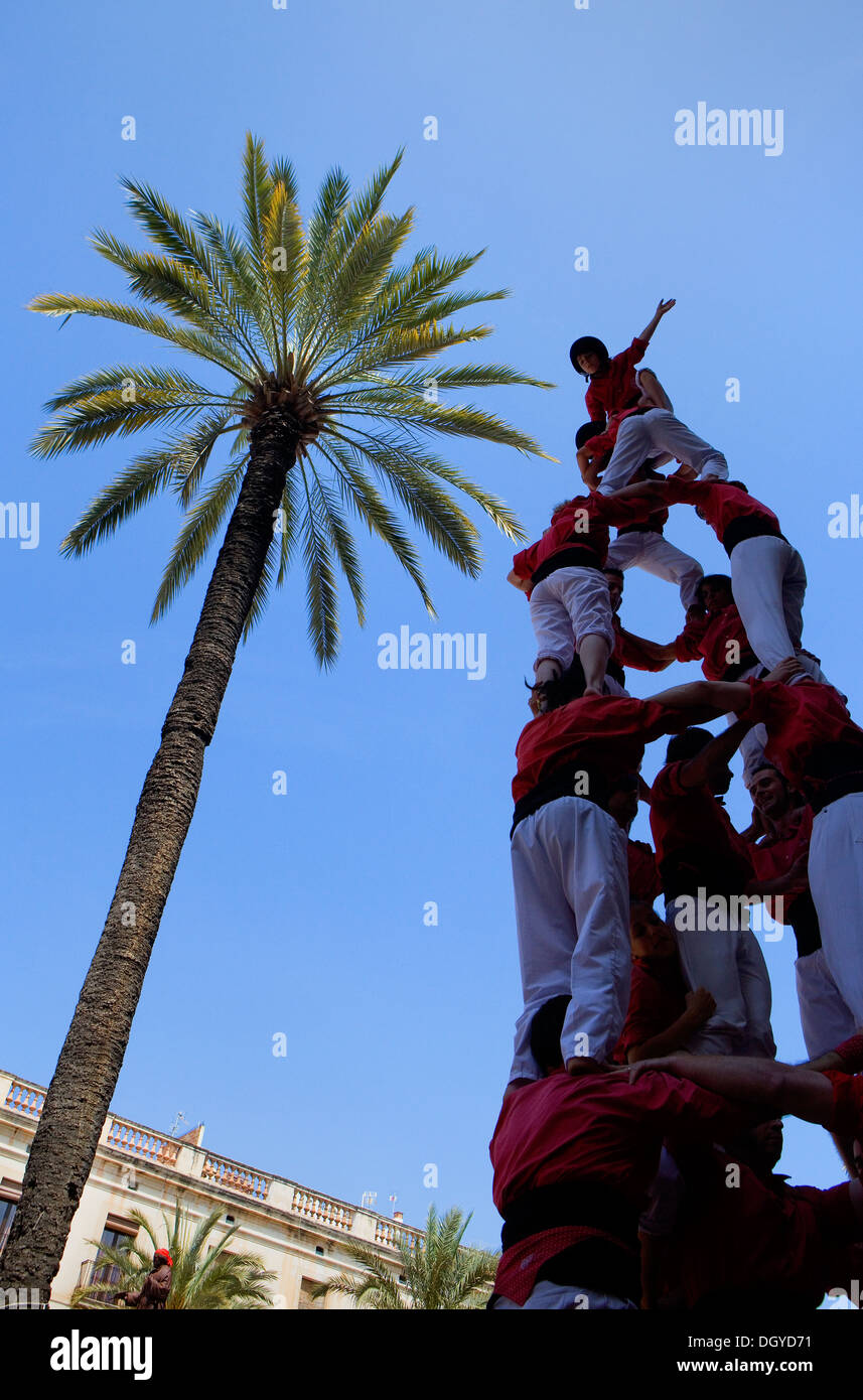 Colla Joves Xiquets de Valls.Les capacités humaines tower.Plaça de la Vila. Vilanova i la Geltrú, province de Barcelone, Catalogne, Espagne. Banque D'Images