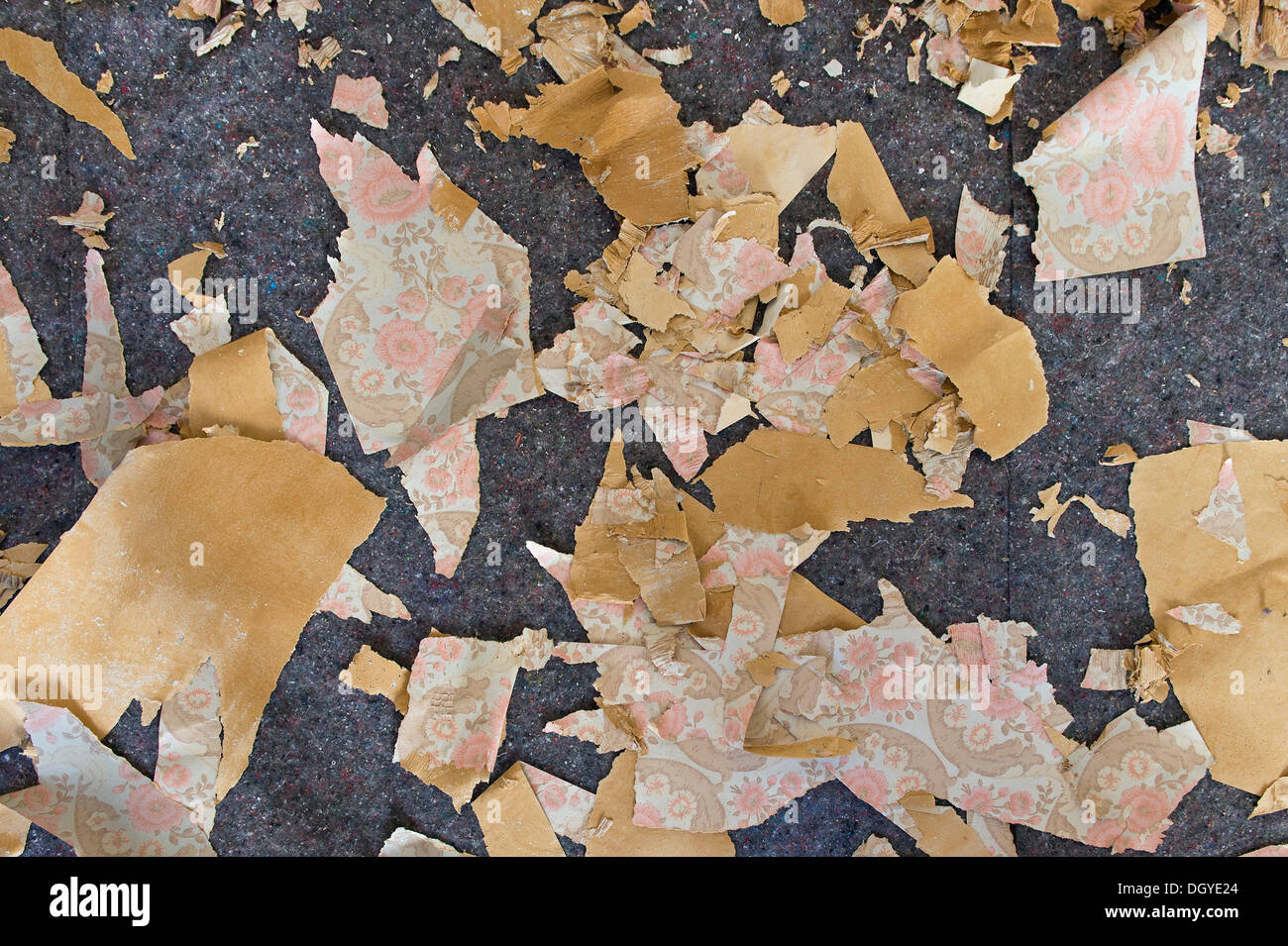 Peelings papier peint des années 60, Stuttgart, Bade-Wurtemberg Banque D'Images