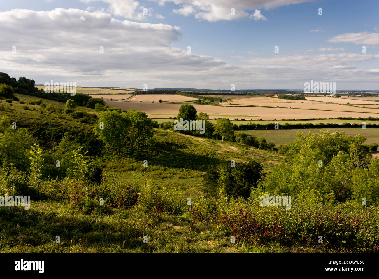 Le Broughton, orientée au nord, cette craie downland escarpe, géré en tant que réserve naturelle par Hampshire Wildlife Trust. Banque D'Images