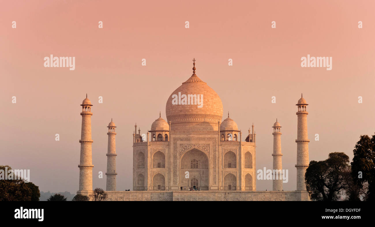 Taj Mahal, mausolée, Site du patrimoine mondial de l'UNESCO, dans la lumière du matin, Agra, Uttar Pradesh, Inde Banque D'Images Taj Mahal, mausolée, Site du patrimoine mondial de l'UNESCO, dans la lumière du matin, Agra, Uttar Pradesh, Inde Banque D'Images