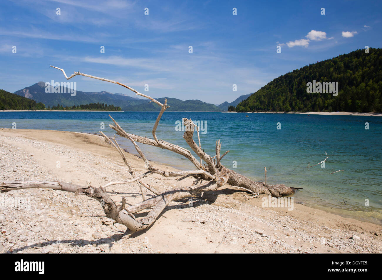 Le lac Walchensee, réservoir dans les Alpes bavaroises, Haute-Bavière, Bavière Banque D'Images