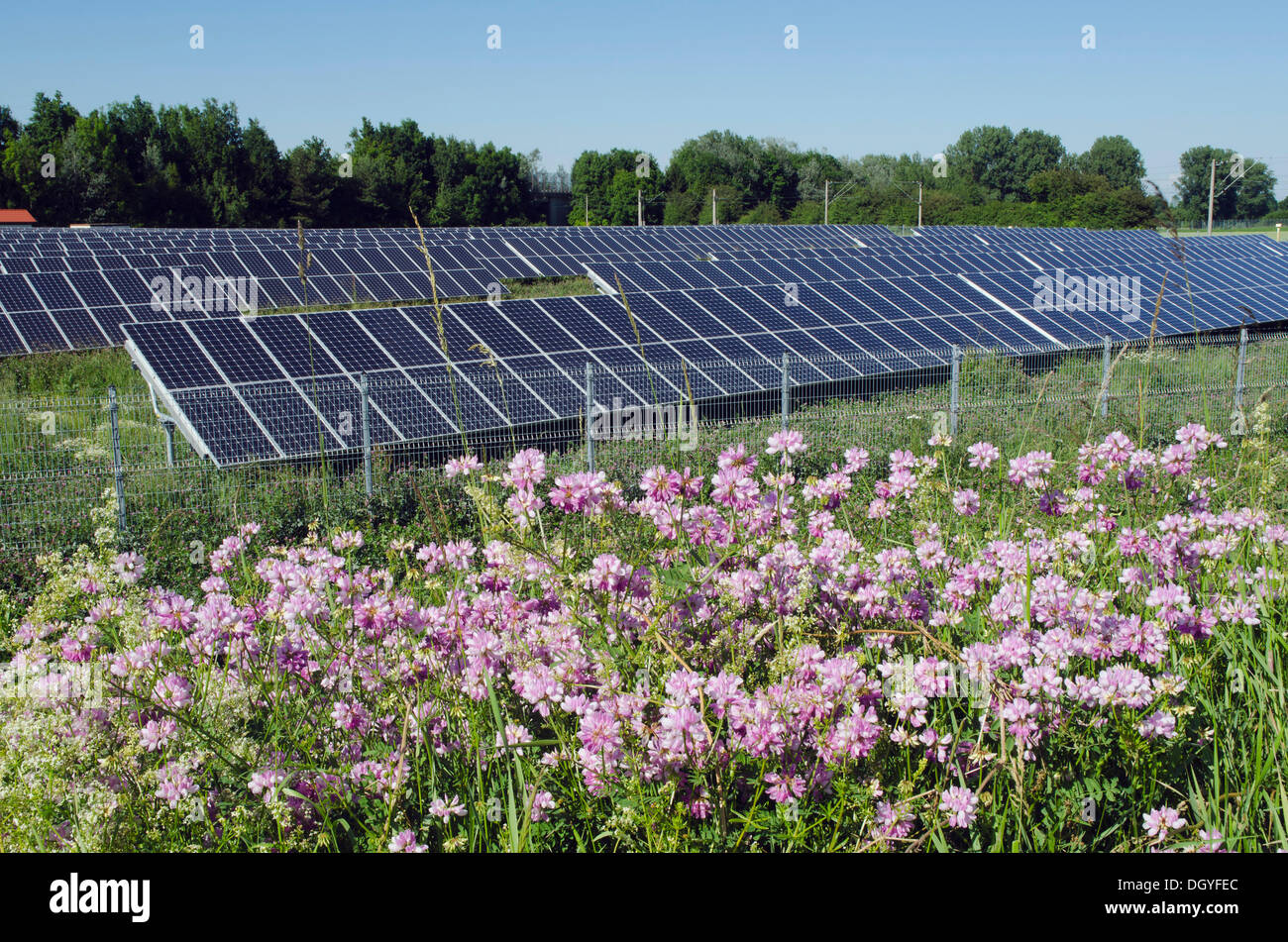 Des panneaux solaires sur une ferme solaire, Landshut, Bavière Banque D'Images